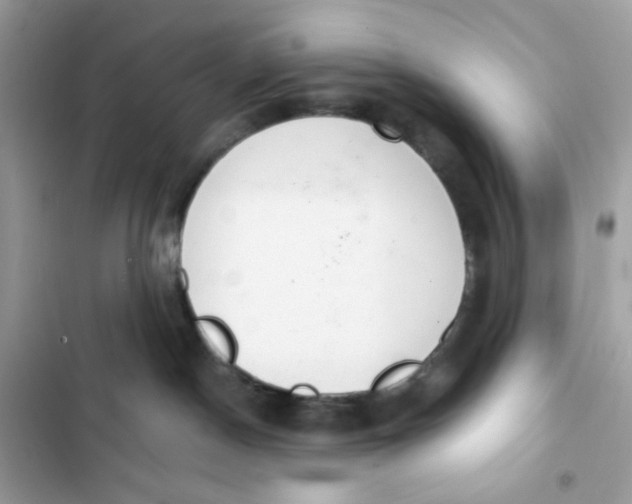 X0000103280190200809191815