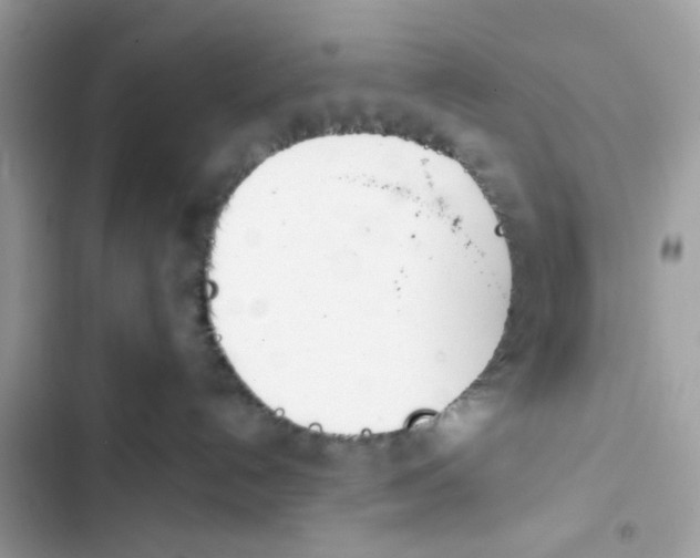 X0000103280192200809191815