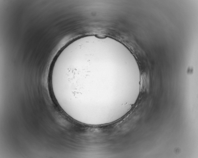 X0000103280195200809191814