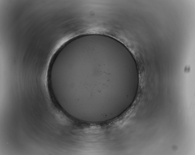 X0000103280196200809191814