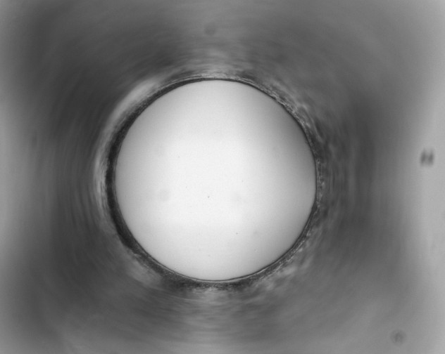 X0000103280197200809191814