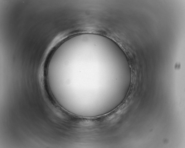 X0000103280198200809191814