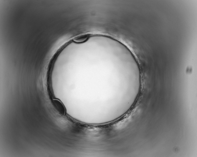 X0000103280199200809191814