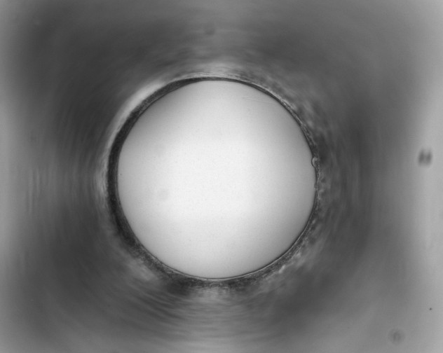 X0000103280200200809191814