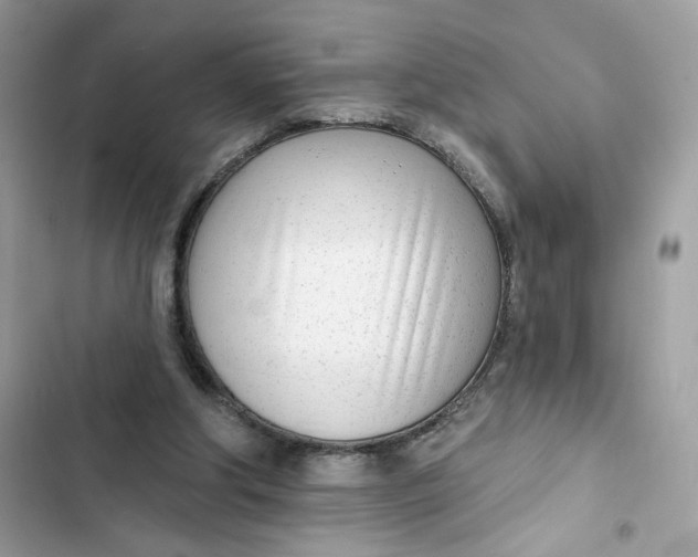 X0000103280202200809191814