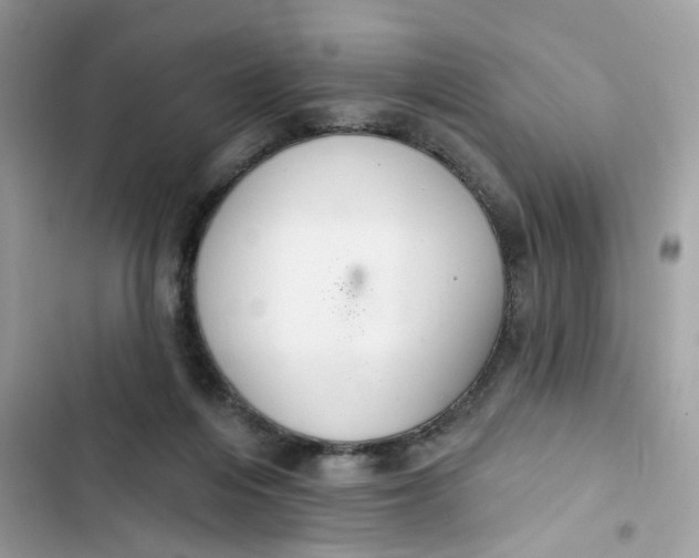 X0000103280216200809191814