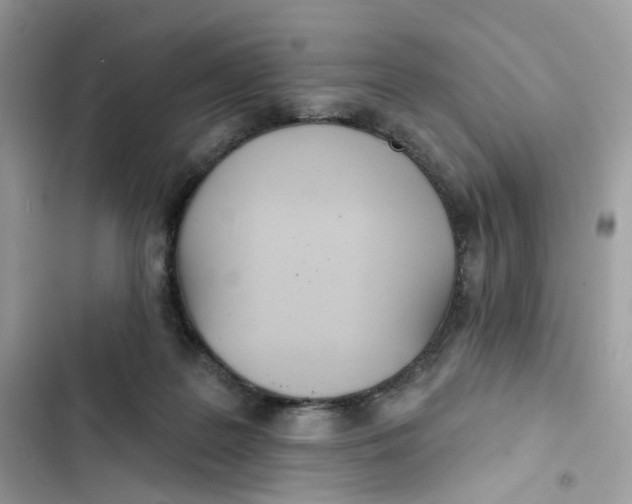 X0000103280219200809191814