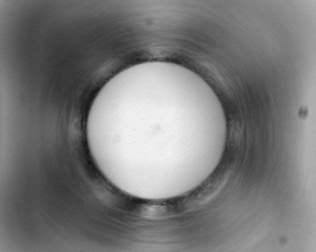 X0000103280220200809191814