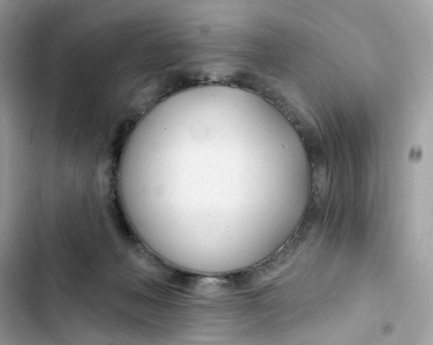 X0000103280222200809191814