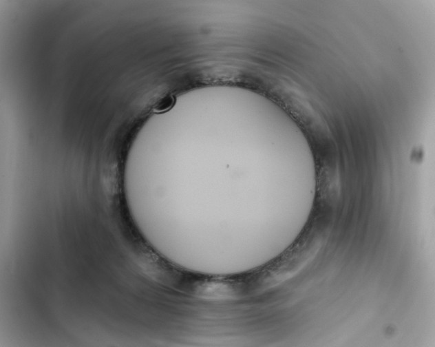 X0000103280224200809191814