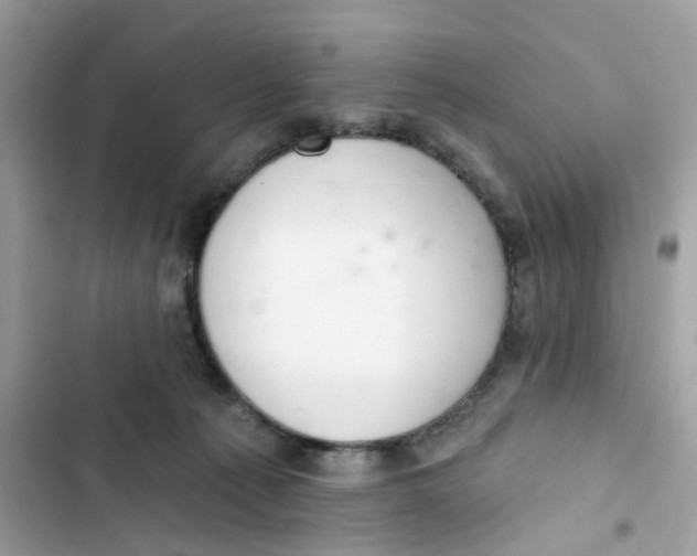 X0000103280225200809191814