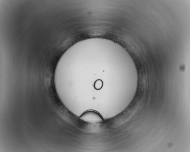 X0000103280227200809191814