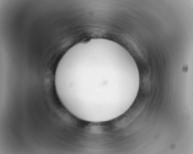 X0000103280228200809191814