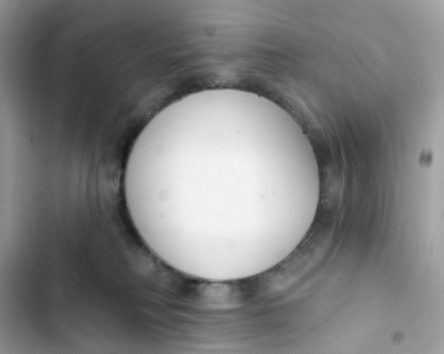 X0000103280230200809191813