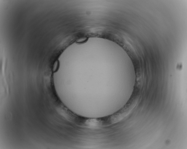 X0000103280231200809191813