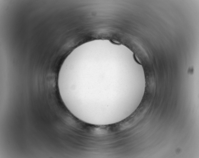 X0000103280232200809191813