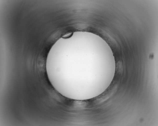 X0000103280234200809191813