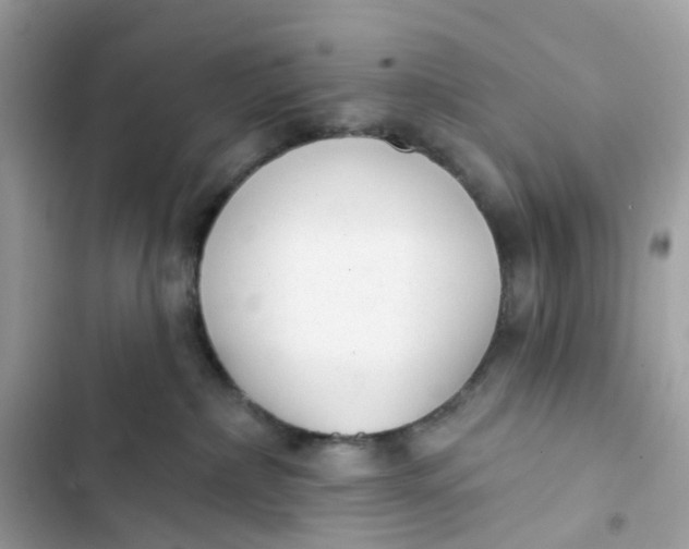 X0000103280236200809191813