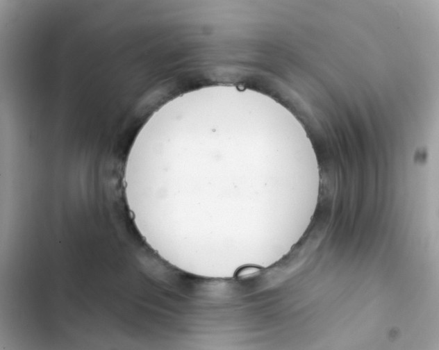 X0000103280237200809191813