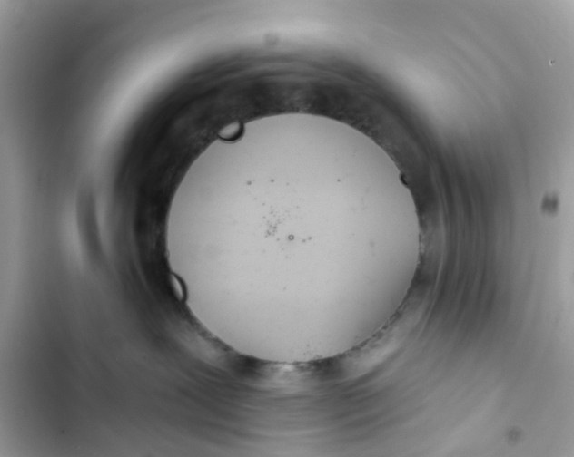 X0000103280239200809191813