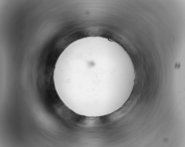 X0000103280240200809191813