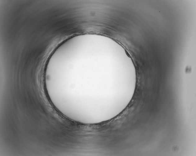 X0000103280241200809191813