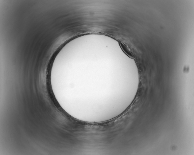 X0000103280242200809191813