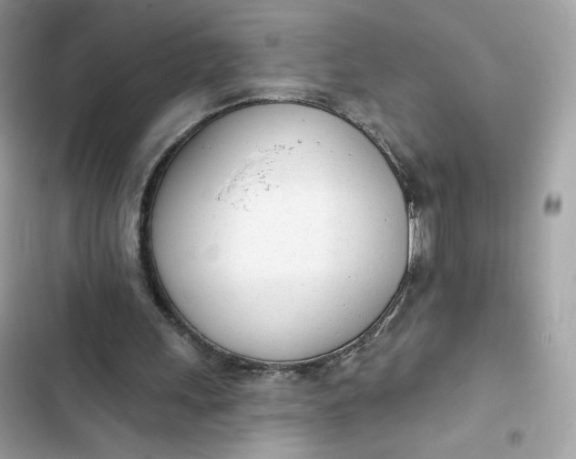 X0000103280243200809191813