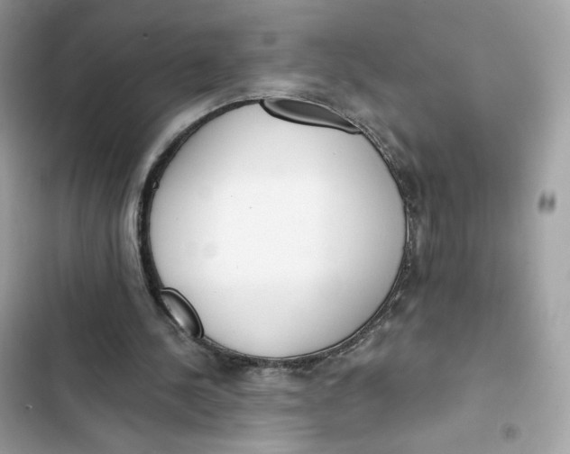 X0000103280244200809191813