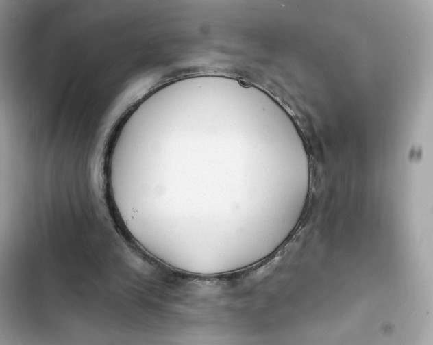 X0000103280245200809191813