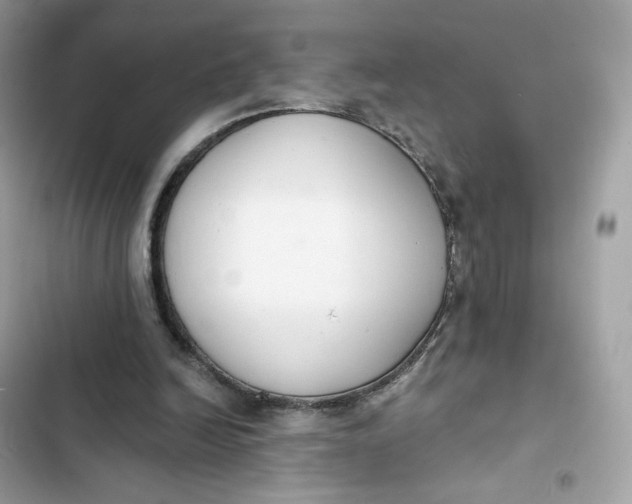 X0000103280246200809191813