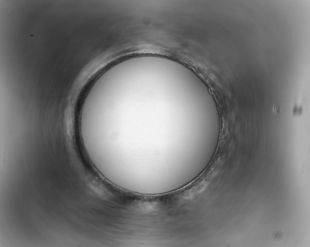 X0000103280247200809191813