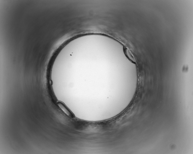 X0000103280248200809191813