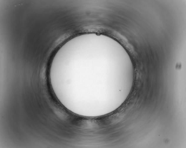 X0000103280250200809191813