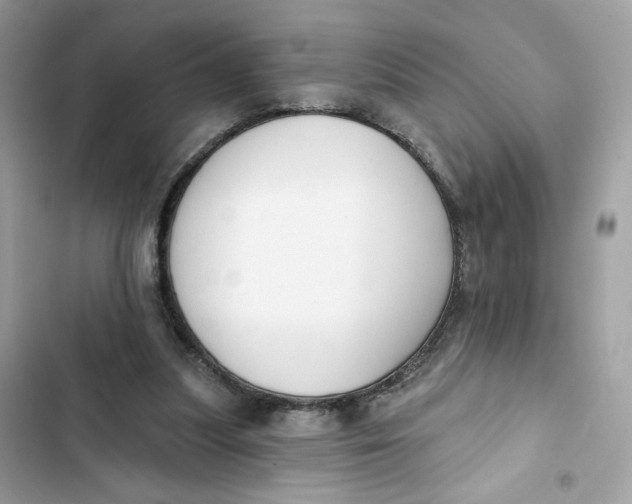 X0000103280251200809191813