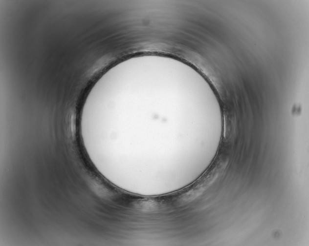 X0000103280253200809191813