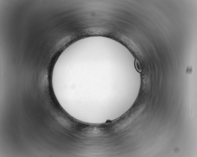 X0000103280254200809191813