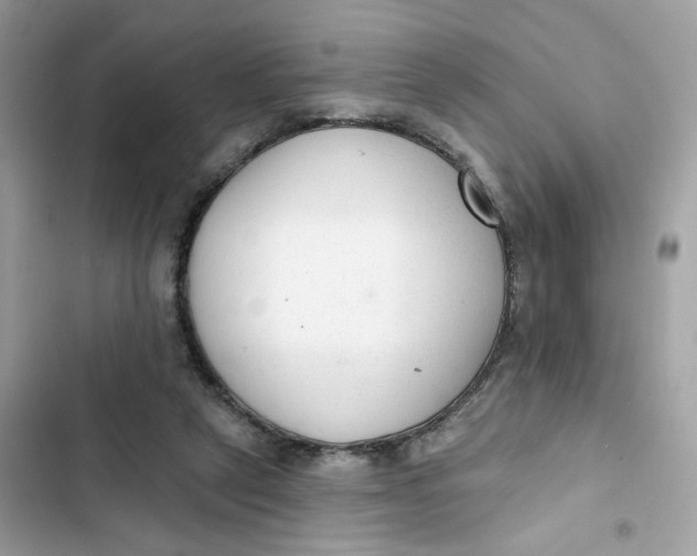 X0000103280257200809191813