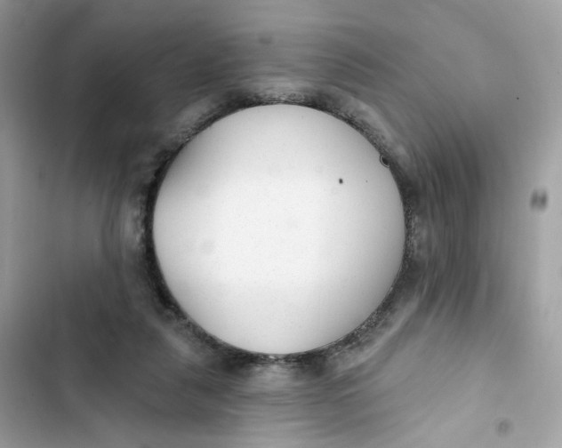 X0000103280259200809191813