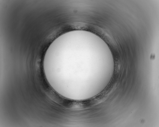 X0000103280263200809191813