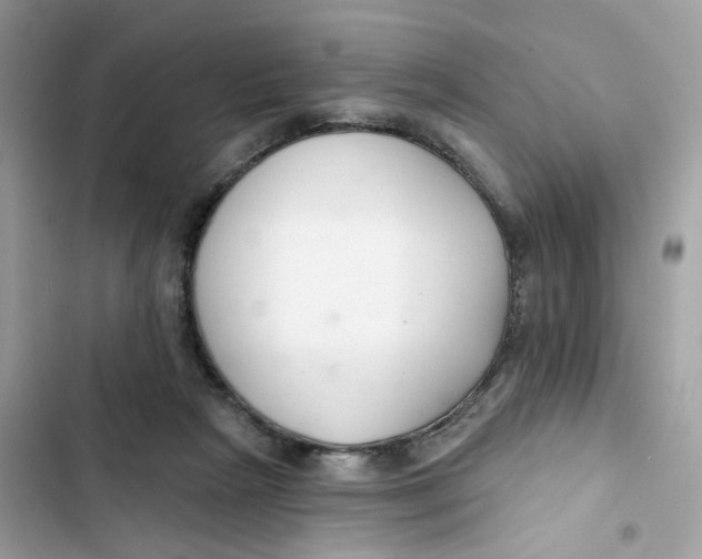 X0000103280265200809191813