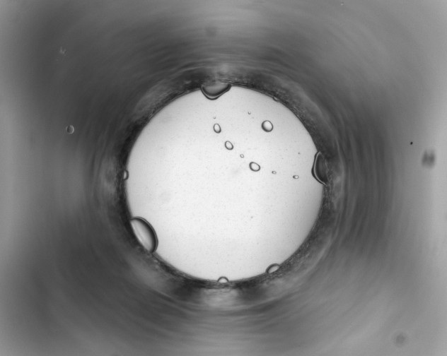 X0000103280266200809191813