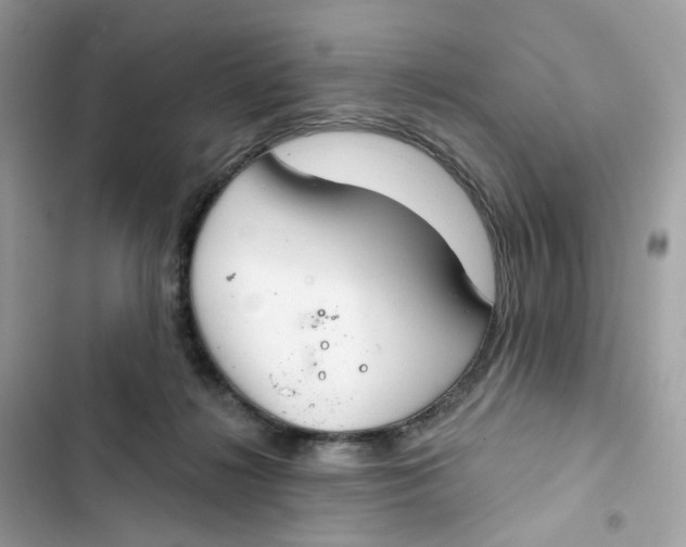 X0000103280268200809191813