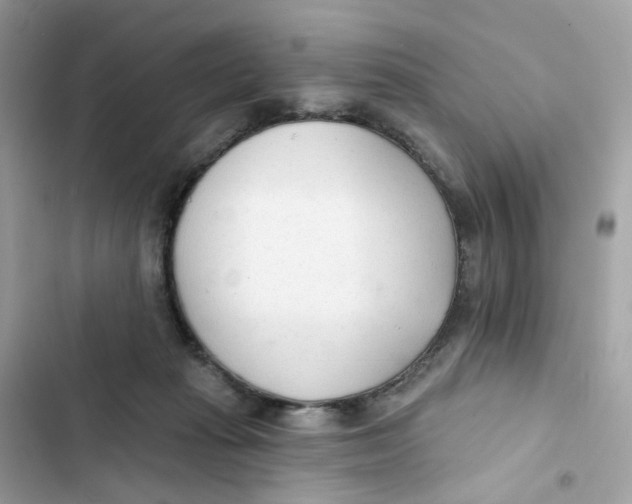 X0000103280269200809191813