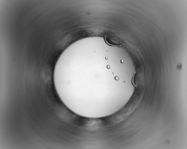 X0000103280274200809191813