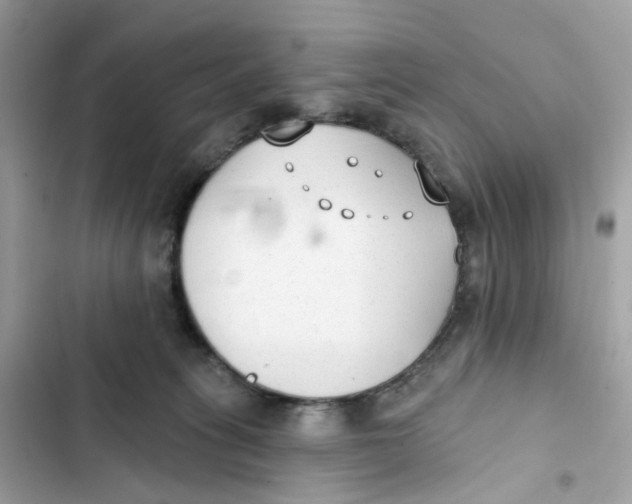 X0000103280275200809191813