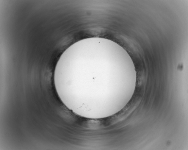 X0000103280279200809191813