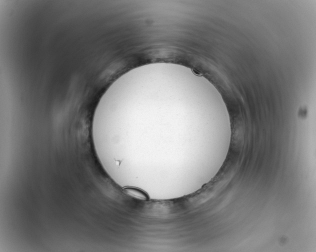 X0000103280282200809191813