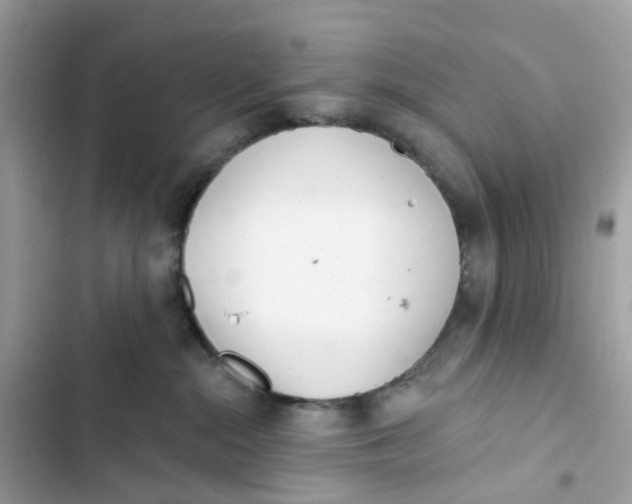 X0000103280284200809191813