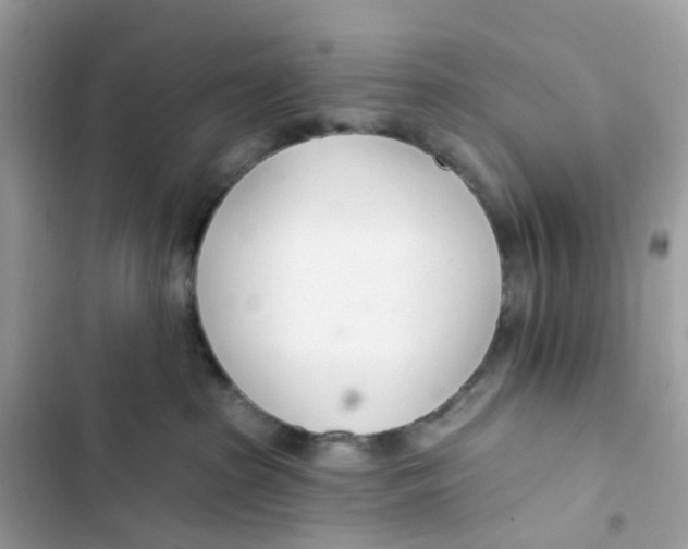 X0000103280285200809191813